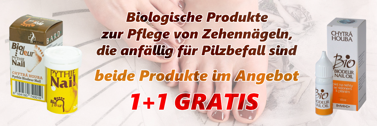 Kluger Pilz